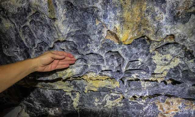 The wall of the lava cave