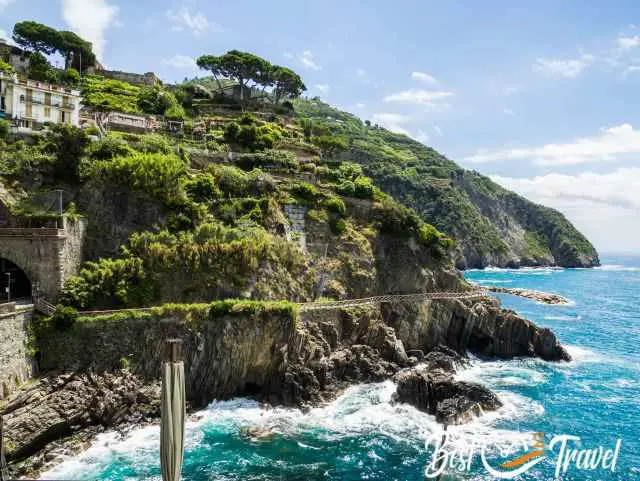 Die Olivenhaine und Weinberge der Cinque Terre.