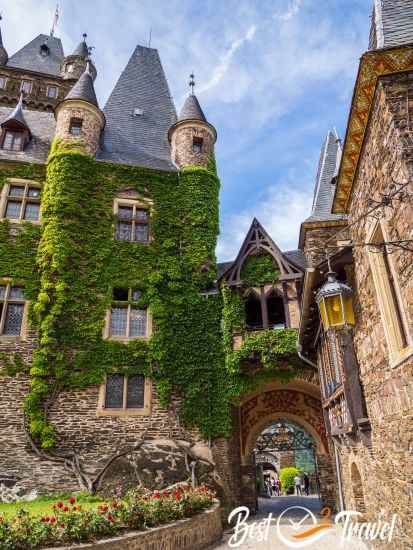 The walls of the castle in the courtyard overgrown with ivy