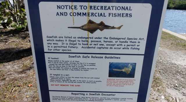 Fishing Sign 