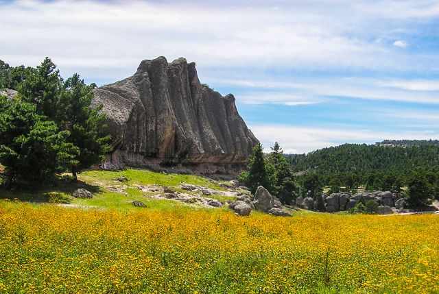 A meadow of flowers in summer along the rim