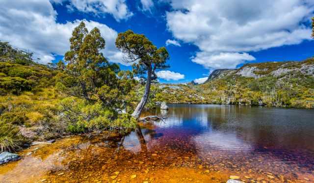 The end of Dove Lake - The circular trail