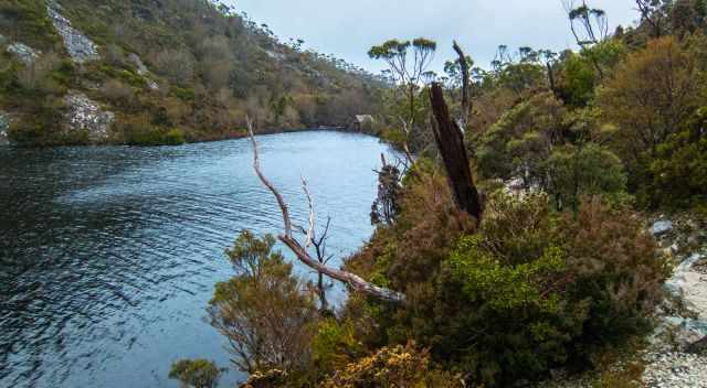 Another boat shed on higher elevation in Cradle