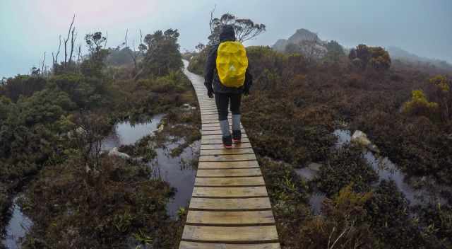 Overland Track Hiking on a boardwalk on a cloudy, misty, rainy day