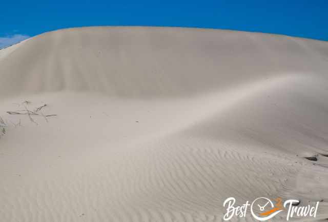 A huge pristine white dune without any footprints and a blue sky