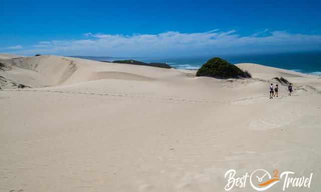 Three visitors walking through the dunes