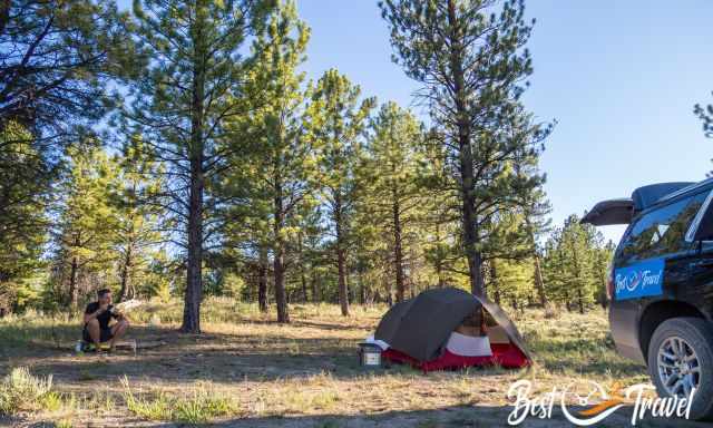 Our tent in the Dixie Forest
