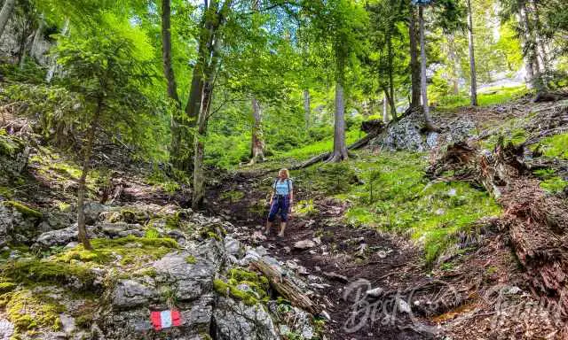 The slippery, muddy, and steep trail back