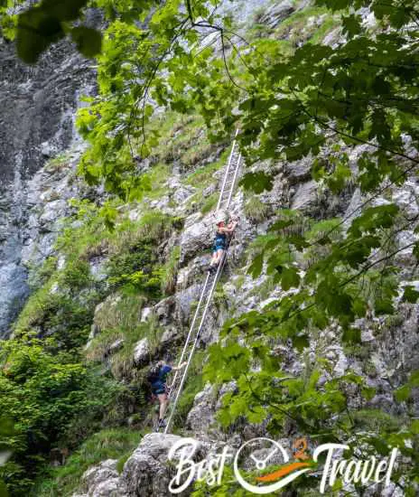 two ladders in the beginning