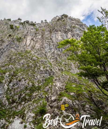 The thrilling view up to the entire Dragon Wall