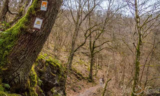 Panorama Trail path and sign