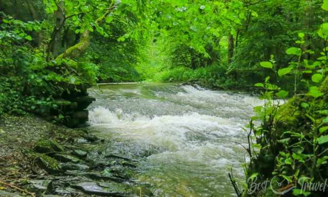 The Eltz Stream flowing downhill