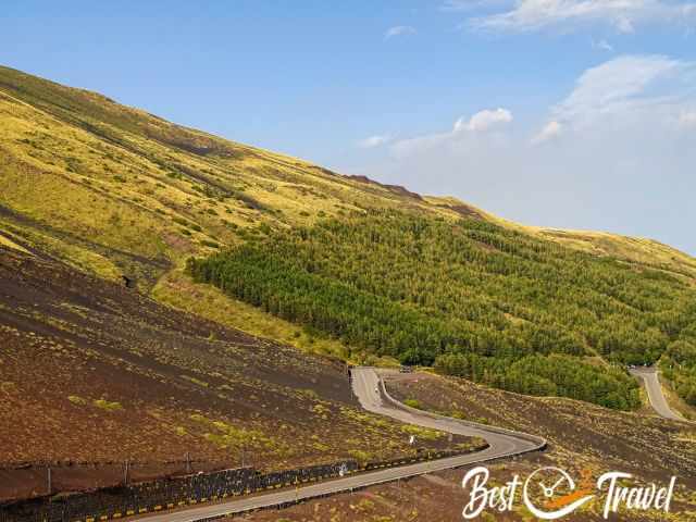 The lush vegetation on the north side of Etna