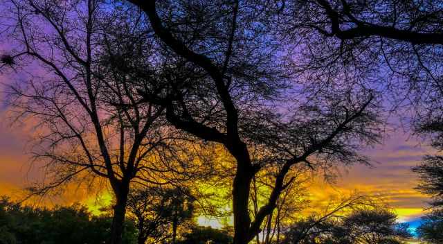 Colourful sunset in Etosha in the rainy season