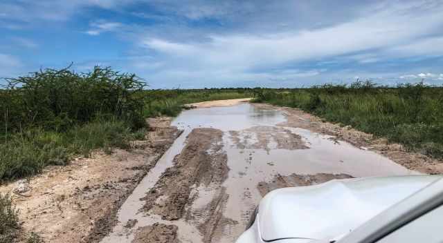 Flooded gravel road in Etosha in the rainy season