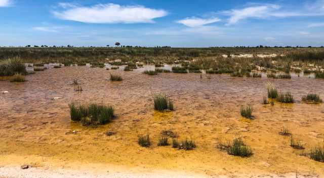 Puddle after rain in Etosha