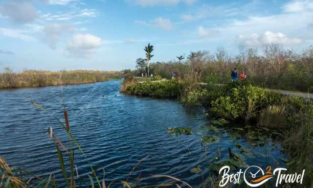 The well-maintained trail at Royal Palm Visitor Information