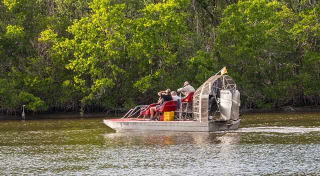 Airboat Ride in the Everglades