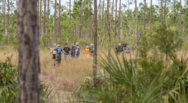 Ranger guided tour in the Everglades
