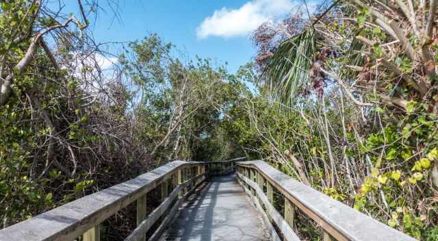 Pa-hay-okee Trail boardwalk