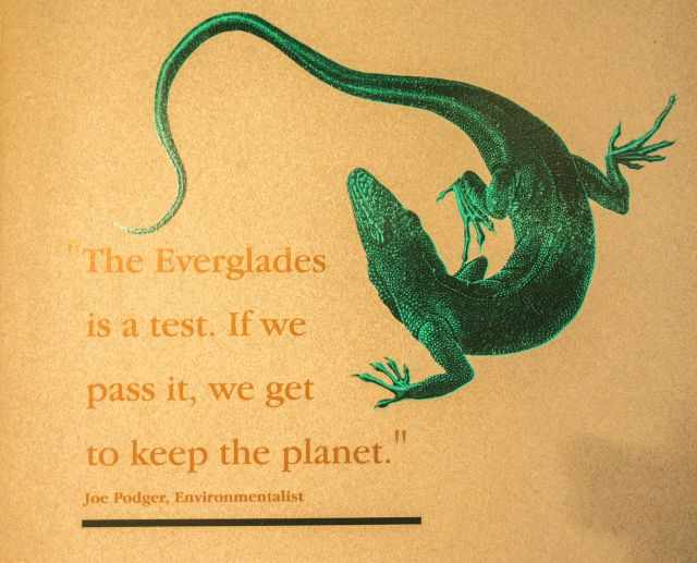The Everglades is a test. If we pass it, we get to keep the planet. Info board