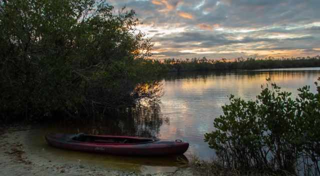 Fakahatchee at sunrise in the winter