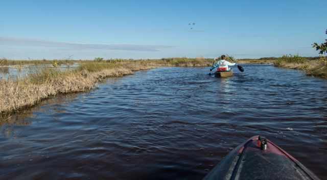 Canoe Tour in the Fakahatchee Strand Preserve