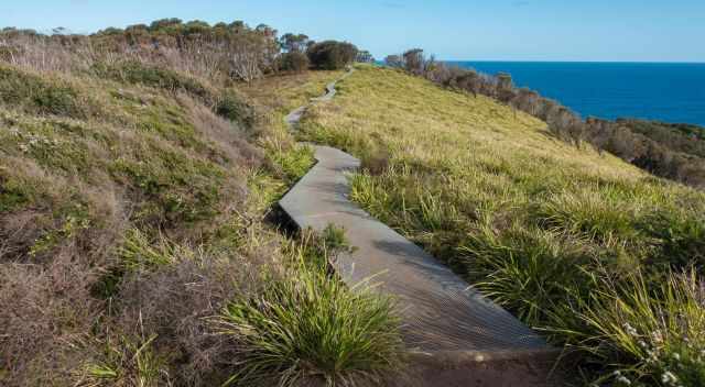 Boardwalk to Burning Palms and Figure Eight