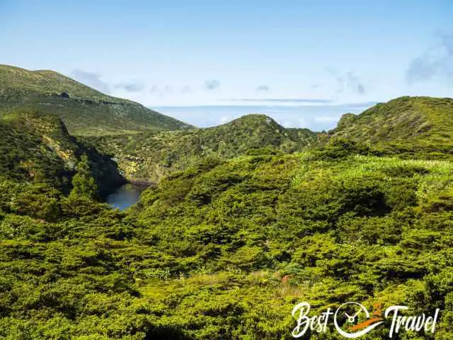 The lush green vegetation in Flores.