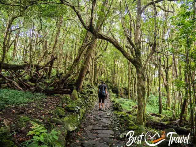 The slippery cobbled stone trail to the waterfalls