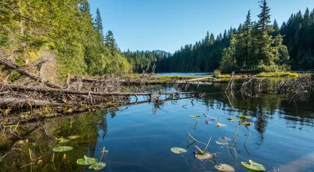 One of the Four Lakes in the Alice Provincial Park