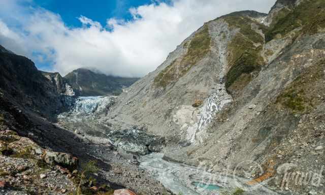 Fox Glacier view from the walking path