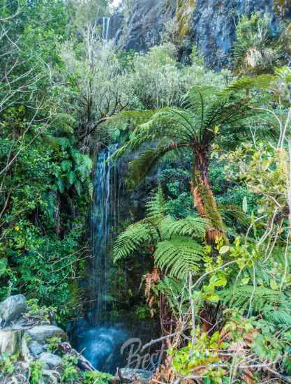 A waterfall in lush rainforest