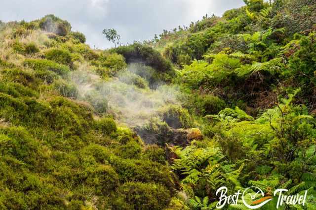 Geothermal hillside at Furnas do Enxofre, with sulfur steam rising through dense green vegetation.