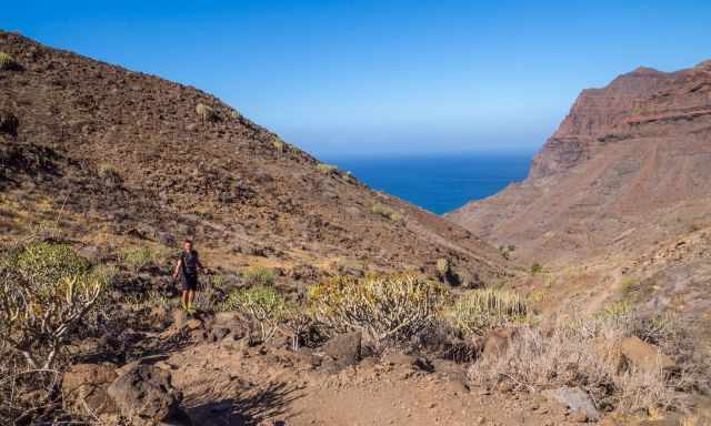 The breathtaking landscape and vegetation along this trail