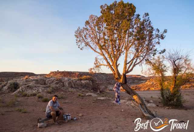 A man sitting on a trunk next to a tree in GSENM