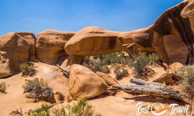 Another arch in the maze of Devils Garden