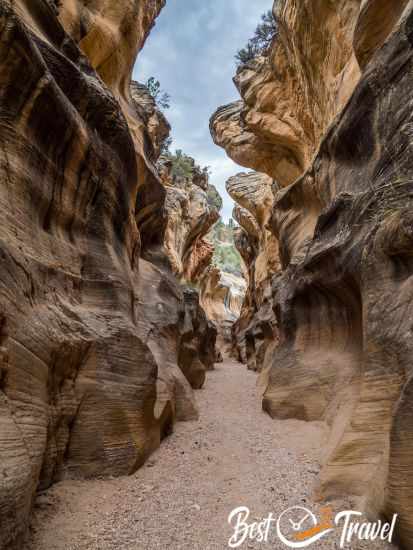 The high walls in Willis Creek Slot Canyon.