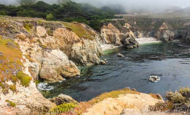 The diverse coastal vegetation and dense forest