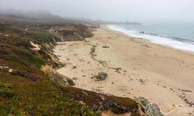 Garrapata Beach during a foggy day