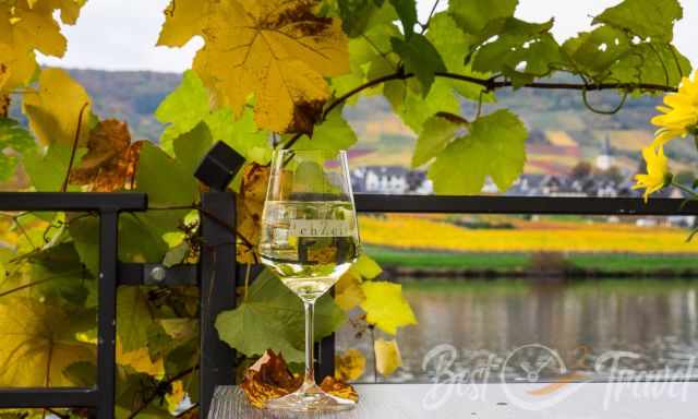 A wine glass at Moselle River