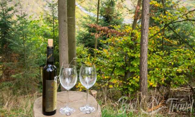 Two wine glasses and two engagement rings with the Geierlay in the background