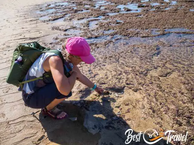 A woman looking into a tide pool and holding a mussle