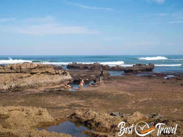 A family in a tide pool.