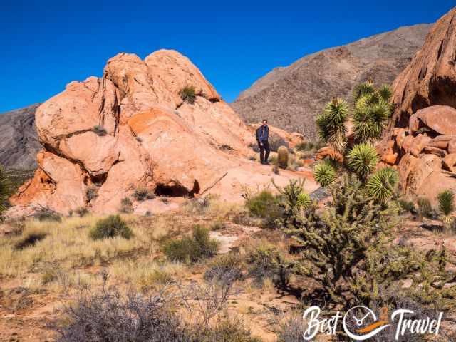 The lush vegetation in the winter and and a hiker on rock formations