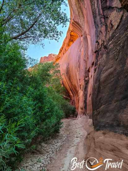 The high canyon walls in Neon Canyon