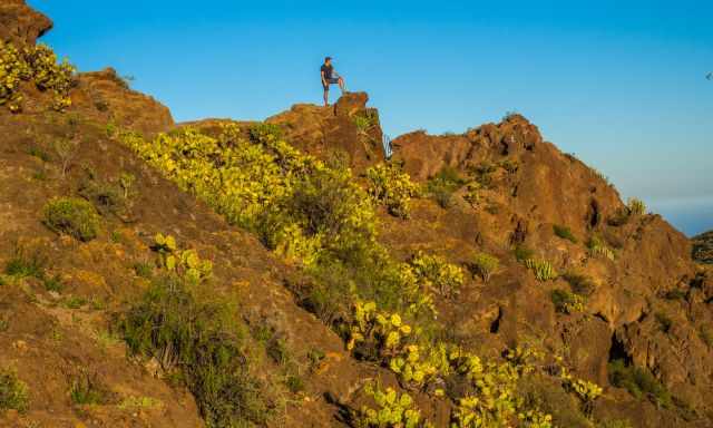 Cacti and a man on a huge rock at Cueva de Cuatro Puertas at sunset