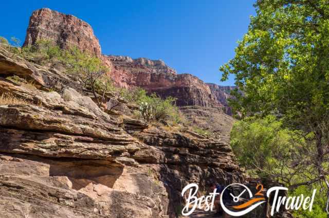 A hiker in the shade of trees close to Indian Garden