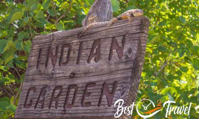 A lizzard on the Indian Garden Sign