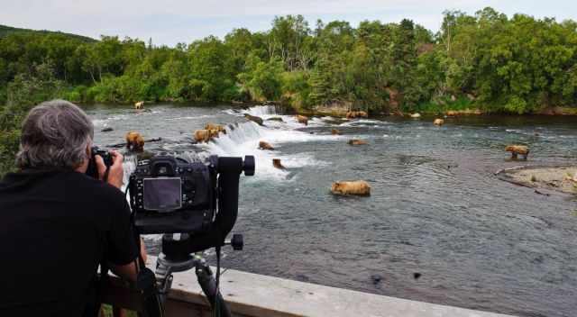 Photographer and tons of bears at Brooks Falls